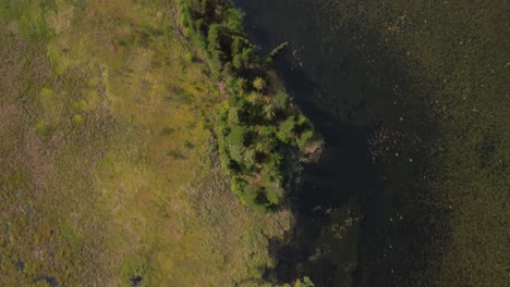 Aerial-Top-Down-Drone-View-Over-Seeley-Lake-Provincial-Park,-Smithers,-Canada