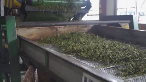 View-Of-Tea-Leaves-Sorting-Machine-In-Sri-Lanka