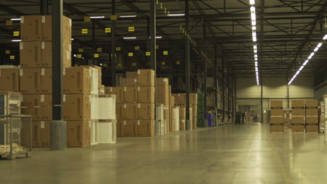 Time-Lapse-Of-Workers-In-Warehouse-Preparing-Goods-For-Dispatch