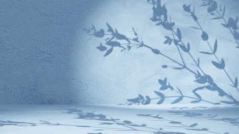 Plant-tree-leaf-shadow-gently-moving-by-breeze-on-blue-wall-background-animation-loop-rendering-nature-calm-relaxing-concept-background