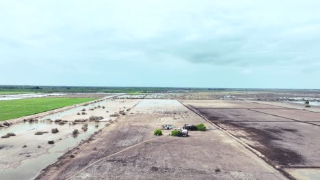 Drone-side-track-footage-of-Golarchi-farming-Sindh-on-sunny-day-with-some-clouds