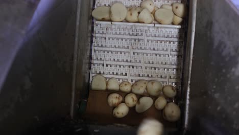 pov-shot-camera,-rice-is-washed-in-water-and-potatoes-are-falling-on-the-conveyor-belt