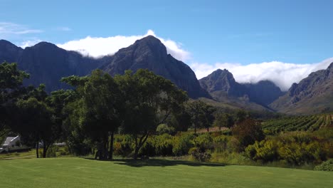 Viñedo-Y-Montañas-Y-árboles-Circundantes-En-Stellenbosch,-Sudáfrica