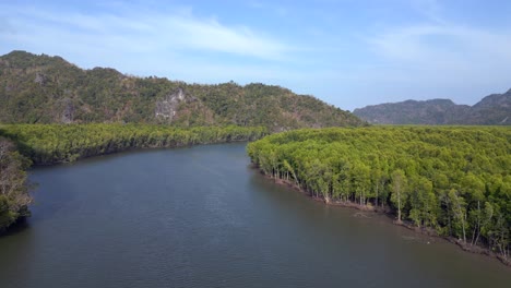 Manglares-Río-Colinas-Malasia-Langkawi