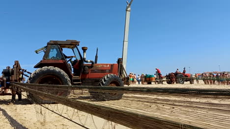 Fishing-net-being-pulled-by-a-tractor-in-the-middle-of-the-beach-in-summer,-traditional-Arte-Xavega-fishing