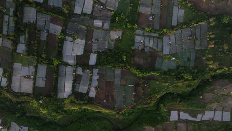 Luftaufnahme-Bei-Sonnenaufgang-Der-Reisfelder-über-Sembalun,-Lombok