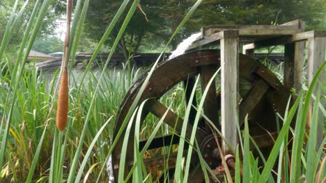 A-historic-wooden-water-wheel-nature-pond-with-tall-grass-and-an-asian-stone-wall-in-the-scenic-South-Korean-countryside