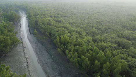 Luftaufnahme-Von-Sundarban,-Einem-Der-Größten-Tigerreservate-Asiens