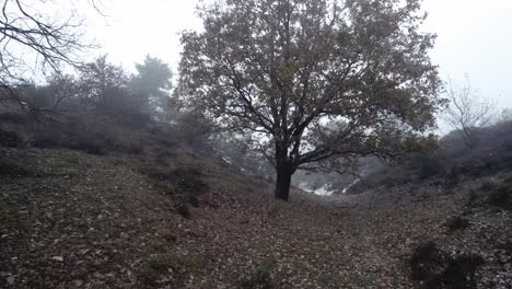 Dark-autumn-hill-landscape-aerial-through-winter-barren-and-fall-colored-trees-contrasted-against-a-thick-mysterious-moist-misty-fog-background-and-snow-scattered-around