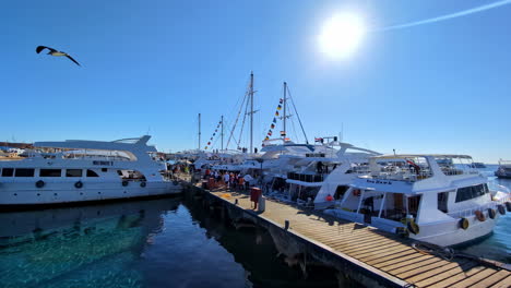 Sharm-El-Sheikh-Meer-Tourismus-Reiseziel-Luxus-Yacht-Marina-Hafen
