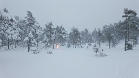 Una-Persona-Montando-Una-Moto-De-Nieve-En-Un-Bosque-Durante-Una-Tormenta-De-Nieve