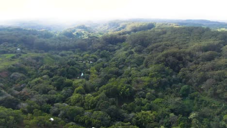 Twin-Falls-Maui-Hawaiian-Bambuswald-Naturlandschaft,-Luftaufnahme-Einer-Drohne