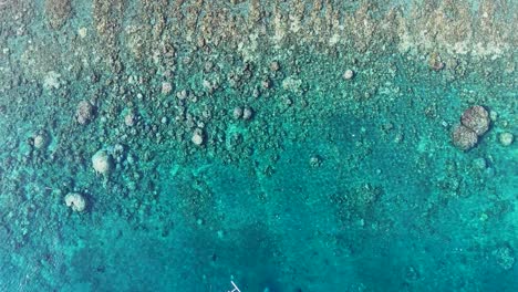 Coral-reef-and-rocks-beach-shore-from-top-in-Indonesia