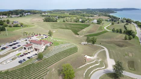 Weinberglandschaft-In-Der-Nähe-Der-Großen-Seen-In-Michigan,-Luftaufnahme-Aus-Der-Umlaufbahn