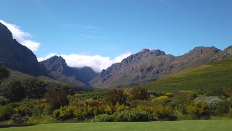 Pfanne-Mit-Weinberg-Und-Bergen-Im-Hintergrund-In-Stellenbosch,-Südafrika