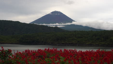 Der-Fuji-Thront-Majestätisch-Zwischen-Weißen-Wolken,-Einer-Landschaft-über-Dem-Ruhigen-Wasser-Des-Kawaguchiko-Sees