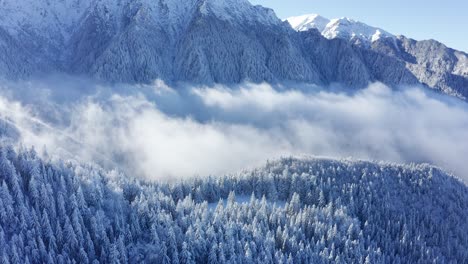 Schneebedeckte-Bucegi-Berge-Mit-Bucsoiu-Gipfel,-Der-Sich-über-Nebligen-Wäldern-Erhebt