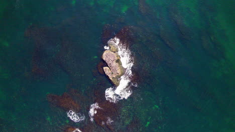 Drone-view-descending-above-a-rock-in-the-middle-of-the-sea,-where-birds-are-resting