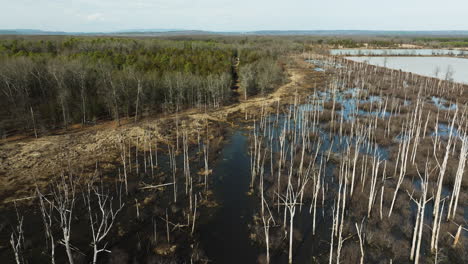 Point-Remove-Wildlife-Area,-Blackwell,-Arkansas,-Mit-Abgestorbenen-Bäumen-Und-Wasser,-Luftaufnahme