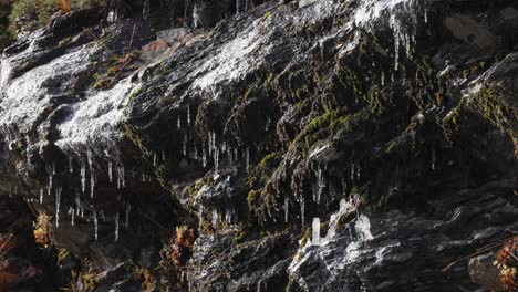 Wasser-Tropft-Und-Sickert-Langsam-Von-Schmelzenden-Eiszapfen-Und-über-Die-Moosbedeckten-Felsen