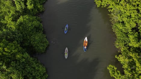 aerial-view,-rowing-a-canoe-on-a-river-edged-with-dense-green-trees