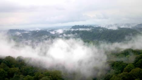 Panoramic-aerial-views-above-a-lush-rainforest-in-Indonesia-national-park,-showcasing-vibrant-biodiversity-and-conservation-efforts,-aerial-4k-drone-footage,-Top-10-largest-rainforest-in-the-World