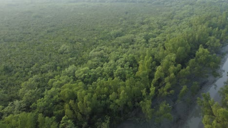 Ariel-view-shot-of-Sundarban,-which-is-one-of-the-biggest-tiger-reserve-forest-in-Asia