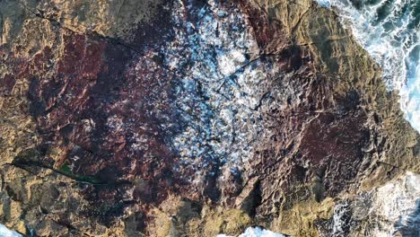 Top-down-ascending-shot-of-small-rock-Island-off-coast-of-Stradbroke-Island