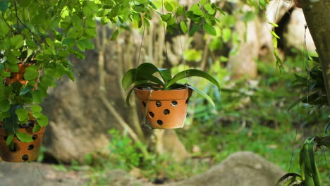 Potted-Exotic-Plants-Hang-on-Threads-in-Vietnamese-TRopical-Garden-at-Po-Nagar-Cham-Temple,-Nha-Trang,-Vietnam