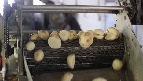 pov-shot-close-up-seen-Potatoes-falling-into-rice-water