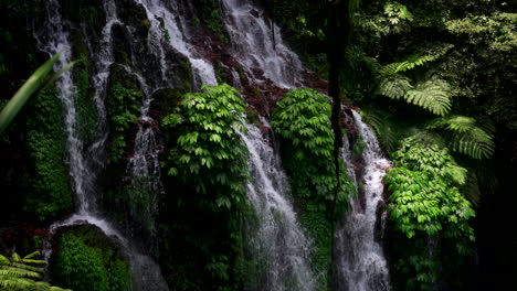 Telephoto-view-of-multiple-streams-cascading-down-leafy-jungle-cliff-waterfall