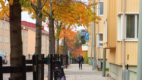 Woman-walks-by-trees-and-buildings-on-Stockholm-street-in-autumn