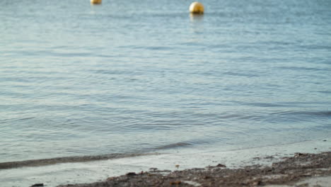 Ruhige-Flut-Plätschert-Auf-Den-Sandstrand-Von-Mallorca,-Bojen-Schwimmen-Auf-Dem-Meereshintergrund