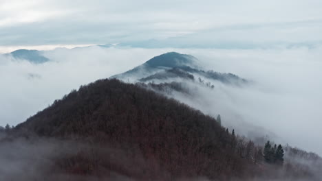 Misty-mountains-with-forest-covered-slopes-peek-through-a-thick-blanket-of-clouds,-aerial-shot-at-dawn