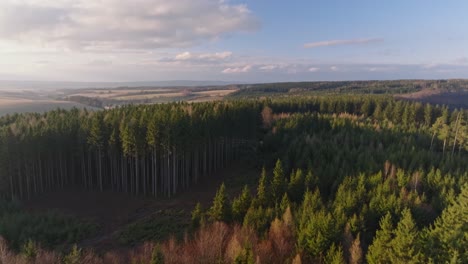 Luftaufnahme-Eines-Waldes-Voller-Bäume-Mit-Himmelslandschaft-Im-Hintergrund-Während-Des-Tages