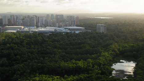 Aerial-view-of-a-big-green-area,-Coco-Park-and-the-city-of-Fortaleza,-at-sunset,-Ceara,-Brazil