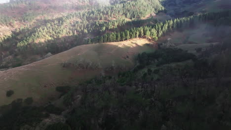 Beautiful-aerial-view-during-the-sunset-over-the-Canarian-pine-forest-and-passing-through-low-clouds