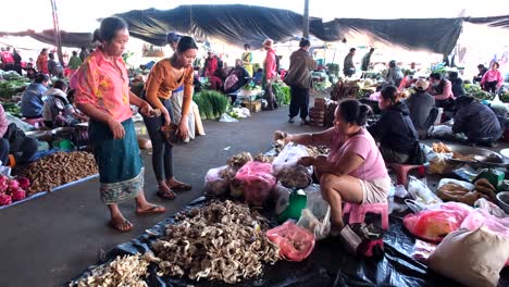 Un-Animado-Mercado-Al-Aire-Libre-Presenta-Una-Amplia-Gama-De-Verduras-Y-Productos-Agrícolas-En-Exhibición