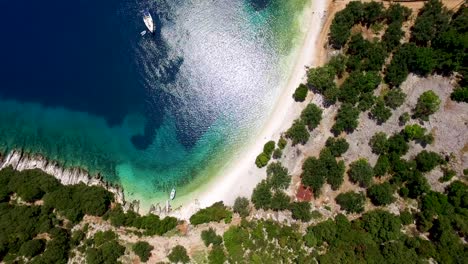 Crystal-clear-turquoise-waters-edge-Foki-Beach-in-Kefalonia,-lush-greenery-surrounding,-aerial-shot