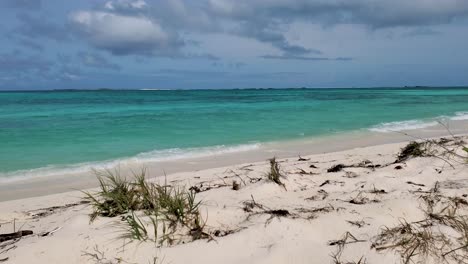 Beach-scene-lonely-caribbean-paradise,-wind-blows-and-moves-grass-and-waves,-pan-right