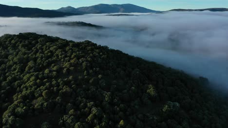 Vuelo-En-Un-Valle-Sobre-Las-Nubes-Viendo-Las-Montañas-Más-Altas-Y-Girando-La-Cámara-Visualizamos-Los-árboles-Que-Reflejan-Los-Rayos-Del-Sol-En-Un-Amanecer-De-Invierno-Con-Un-Cielo-Azul-En-Avila-España