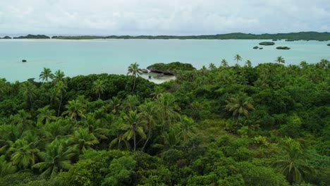 Drone-flying-low-over-palm-tree-forest-on-small-remote-island-in-Fiji