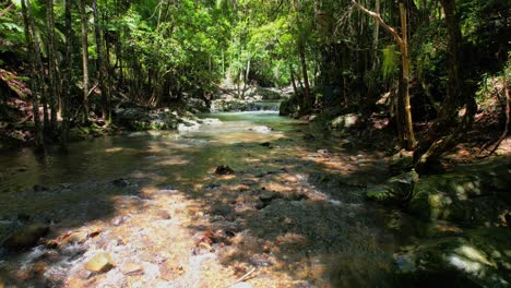 Wald-Mit-Wasserstrom,-Der-über-Die-Felsen-Fließt,-Currumbin-Valley,-Gold-Coast,-Queensland,-Australien---Drohnenaufnahme