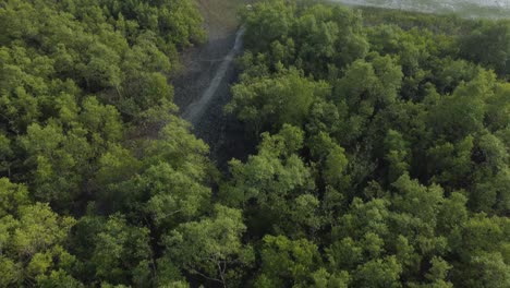 Ariel-view-shot-of-Sundarban,-which-is-one-of-the-biggest-tiger-reserve-forest-in-Asia