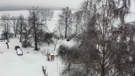 Aerial-approach-toward-bare-birch-tree-and-snowy-frozen-cottage-yard
