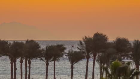 Timelapse-shot-of-palm-trees-moving-along-the-wind-along-the-beachside-during-evening-time