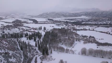 Viejo-álamo-Temblón-Masa-De-Nieve-Condado-De-Pitkin-Desierto-Aéreo-Zumbido-Montañas-Rocosas-Colorado-Basalto-Carbondale-Sopris-Granate-Campanas-Ashcroft-Independencia-Pase-Nublado-Brumoso-Nevado-Mañana-Movimiento-Hacia-Adelante