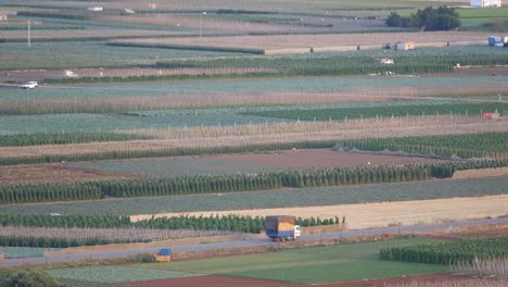 truck-carries-straw-on-a-road-with-a-background-of-orchards