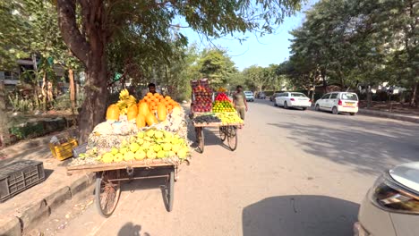Two-Indian-men-standing-near-their-vegetable-carts-and-looking-at-the-camera-in-Vyapar-Kendra-market,-Gurgaon,-India