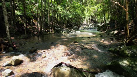 Idyllic-Stream-In-The-Forest,-Currumbin-Valley,-Gold-Coast,-QLD,-Australia---Drone-Pullback